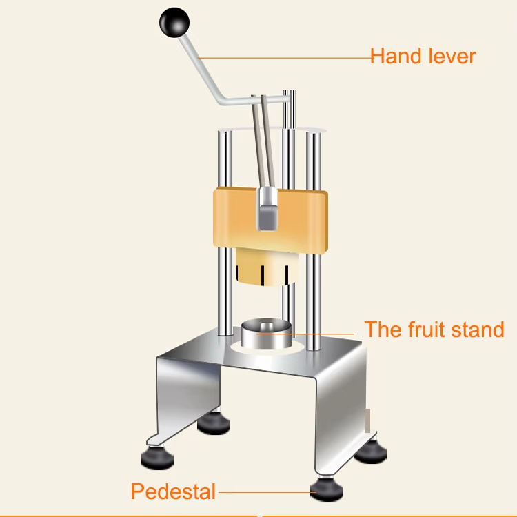 เครื่องปอกสับปะรดแบบใช้มือสำหร - Pineapple Corer Slicer บทวิจารณ์และราคา